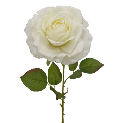Cream Real Touch Bella Rose - #FL-BROS-CRM-RT