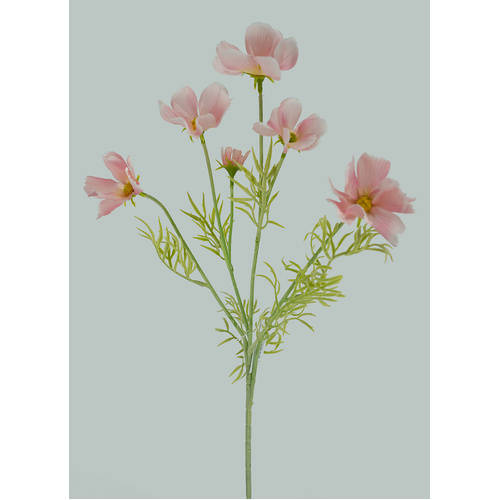 Light Pink Cosmos Spray - #FL-COS-LTPNK-SPRAY
