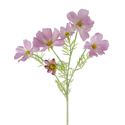 Pink Cosmos Spray - #FL-COS-PNK-SPRAY