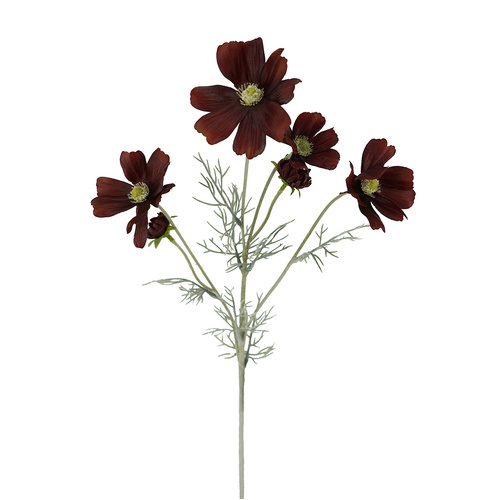 Rusty Brown Cosmos Spray - #FL-COS-RUS-SPRAY