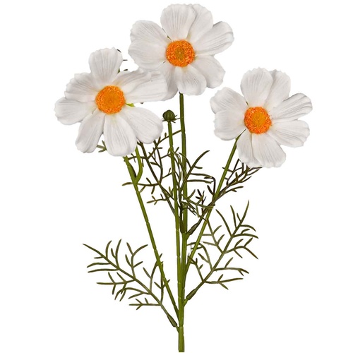 White Cosmos Y Spray - #FL-COS-WHT-YSPRAY