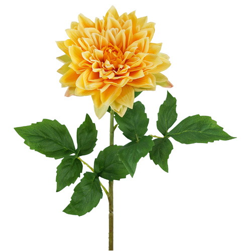 Yellow Dahlia Stem - #FL-DAH-YEL-71