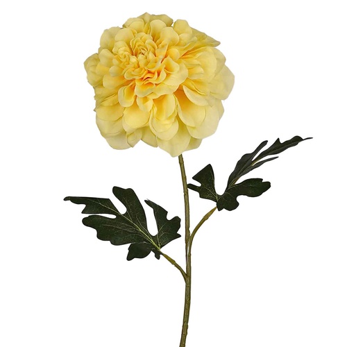 Yellow Dahlia Stem - #FL-DAH-YEL-71