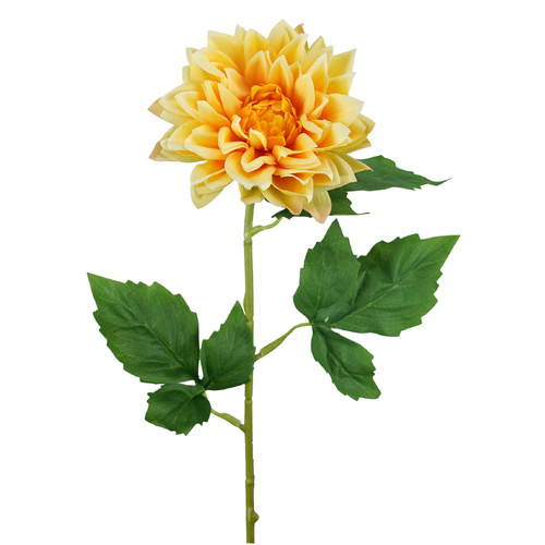 Yellow Dahlia Stem - #FL-DAH-YEL-STEM