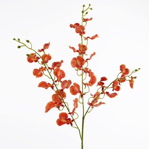Orange Dancing Orchid - #FL-DANCEO-ORG