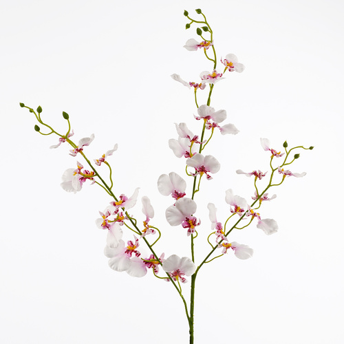 Pink Dancing Orchid - #FL-DANCEO-PNK