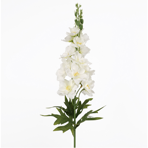 Cream Delphinium  - #FL-DELPH-CRM