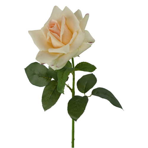Ecuador Real Touch Champagne Rose - #FL-ECUROSE-CRM-RT