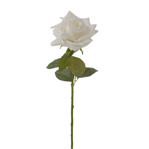 Ecuador Real Touch Cream Rose - #FL-ECUROSE-CRM-RT