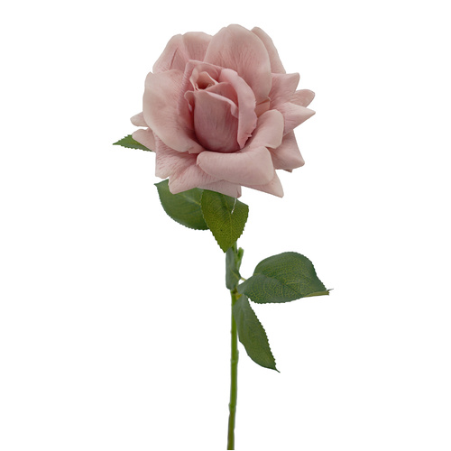 Ecuador Real Touch Dusk Rose - #FL-ECUROSE-DUSK-RT