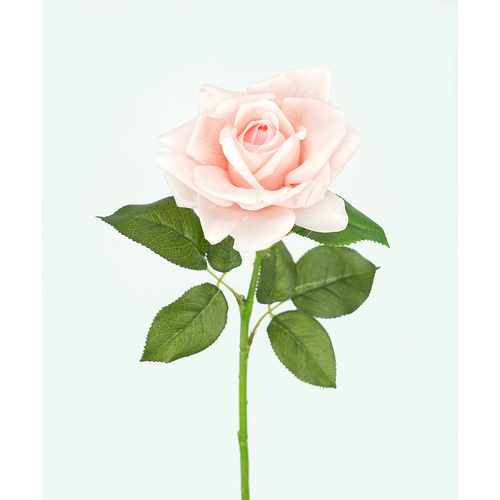 Ecuador Real Touch Brown Rose - #FL-ECUROSE-BRN-RT