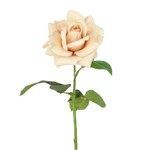 Nude Real Touch Ecuador Rose - #FL-EROS-NUD-RT
