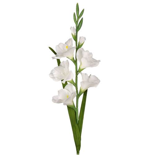 White Gladiolus Stem - #FL-GLAD-WHT-STEM