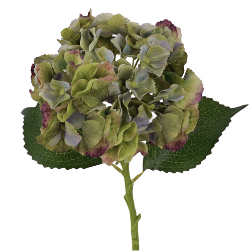 Hydrangea Dark Green Fresh Touch 50cm #FFL-HYD-DGRN-RT 