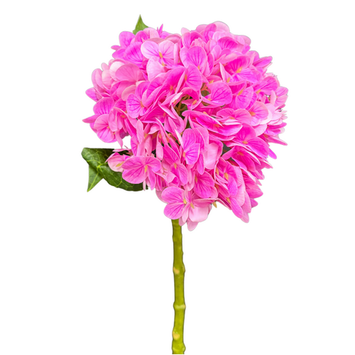 Hydrangea Hot Pink Fresh Touch 50cml #FL-HYD-HTPNK-RT - Each TEMPORARILY UNAVAILABLE