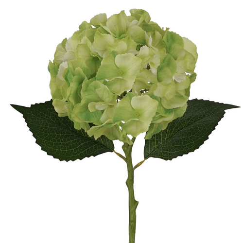 Light Green Hydrangea Real Touch - #FL-HYD-LTGREEN-RT2