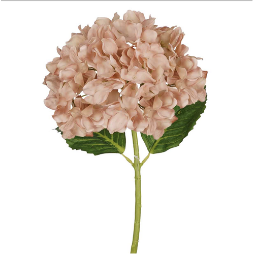 Nude Real Touch Hydrangea -#FL-HYD-NUDE-RT