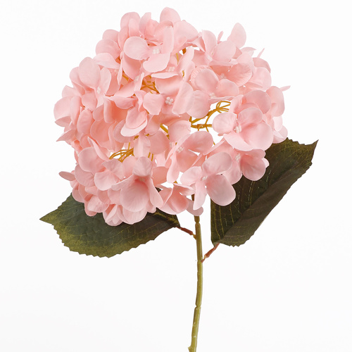 Pink Hydrangea Stem - #FL-HYD-PNK-STEM