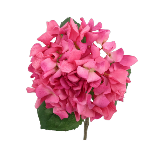 Hydrangea Wilted Pink Real Touch #FL-HYD-PNK-WLTD-RT - Each 