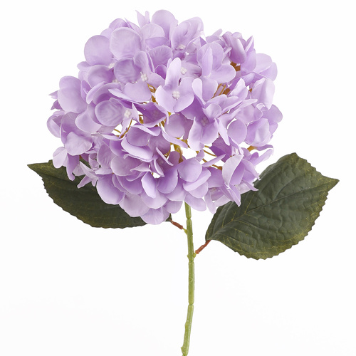 Purple Hydrangea Stem - #FL-HYD-PUR-STEM