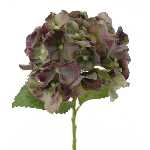 Hydrangea Purple And Green Fresh Touch #FL-HYD-PURGRN-RT