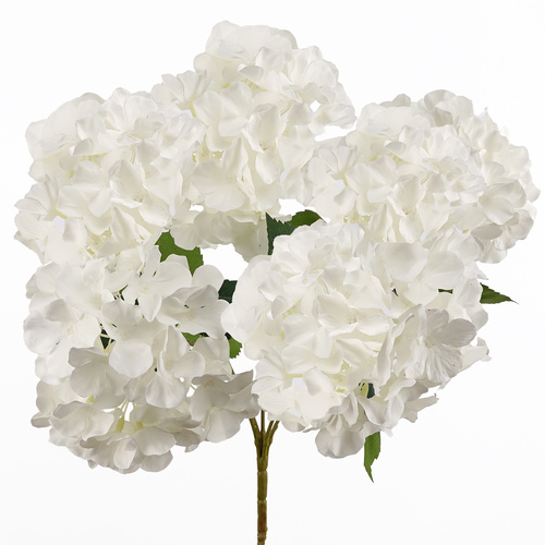 White Hydrangea Bush - #FL-HYD-WHT-5H