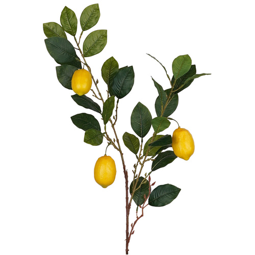 Lemon Spray - #FL-LEMON-SPRAY