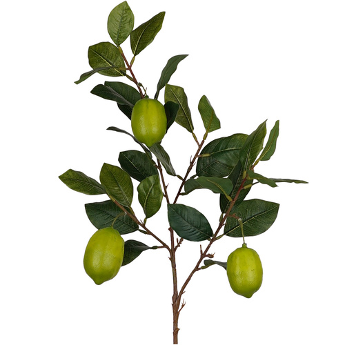 Lime Spray - #FL-LIME-SPRAY