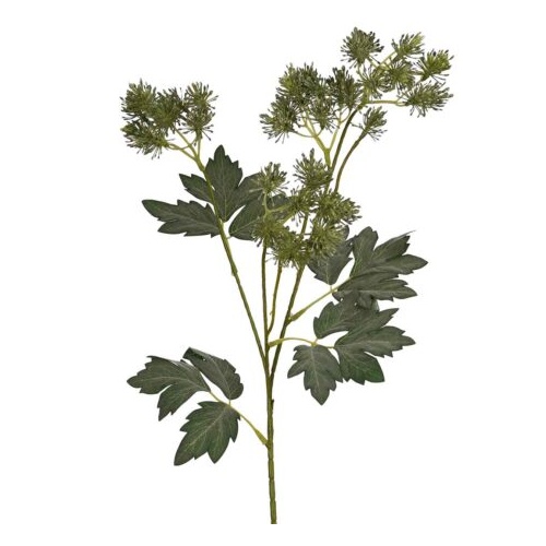 Green Orlaya Spray - #FL-ORALAYA-GRN-SPRAY