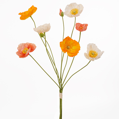 Orange Poppy Bouquet - #FL-POP-ORG-BQ