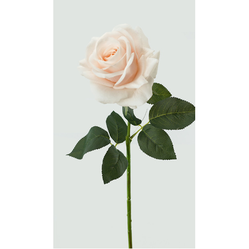 Ivory Real Touch Prima Rose - #FL-PROS-IVY-RT