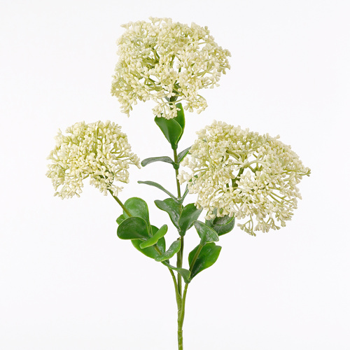 Cream Full Bloom Sedum Spray -  #FL-SEDUM-CRM-SPRAY