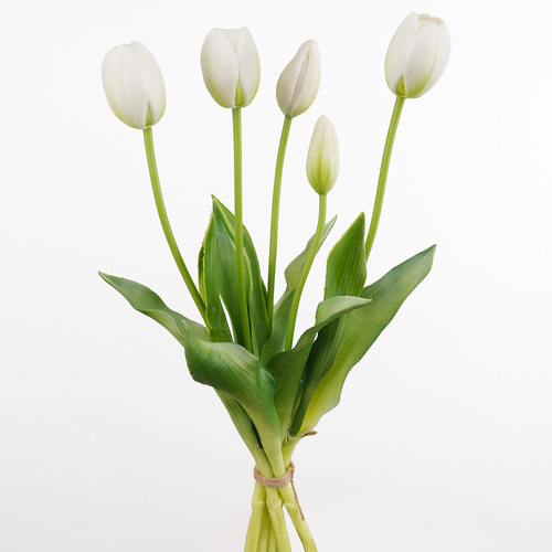White Tulip Bouquet - #FL-TUP-WHIT-BQ
