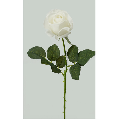 White Valentine Rose - #FL-VROS-WHT