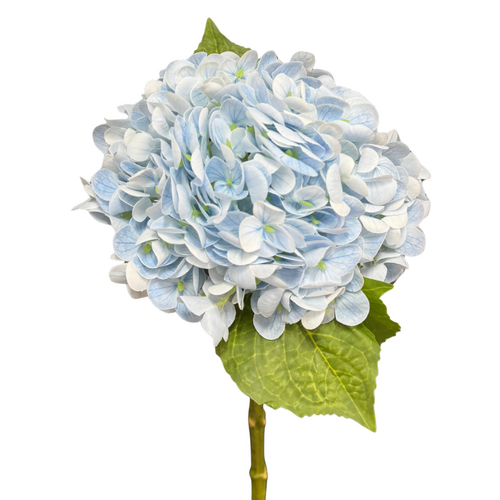 Hydrangea Pale Blue Fresh Touch 50cml #SB4108PBLU - Each