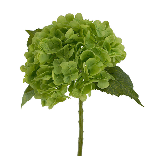 Hydrangea Green Fresh Touch 51cml #SW1713GRN - Each