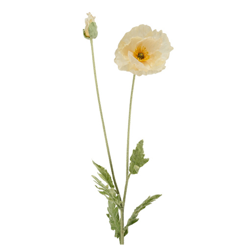 Poppy Iceland Champagne 108cml #SW1767CHAM - Each