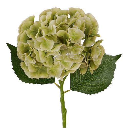 Hydrangea Green Fresh Touch 49cml #SW1791GRN3 - Each