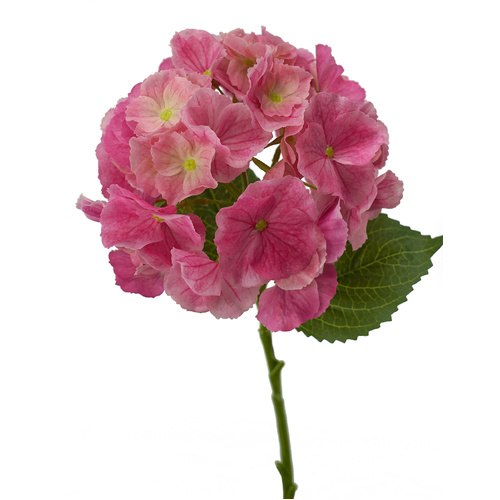 Hydrangea Hot Pink Fresh Touch 49cml #SW1791PHOT - Each