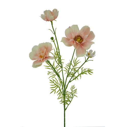 Cosmos Spray Pink 80cml #SW1832LPNK - Each