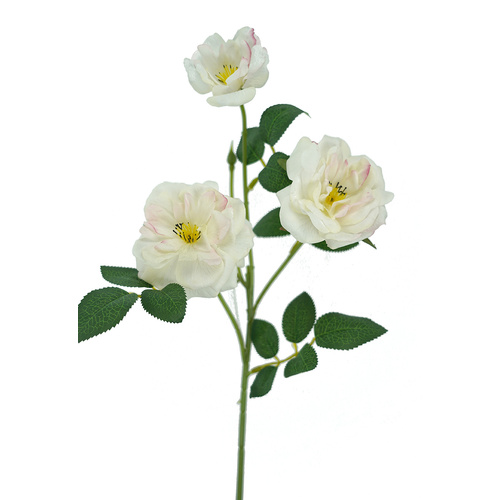 Rose Spray Cream 52cml #SW1866CRM - Each