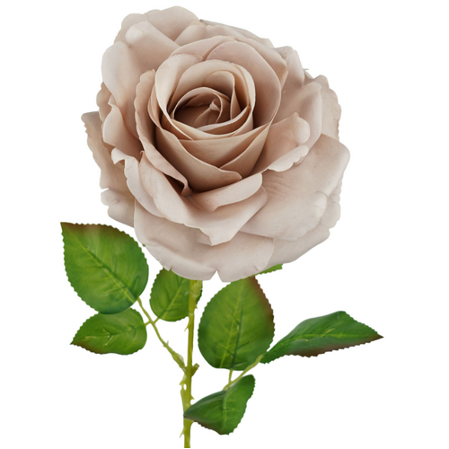 Fresh Touch Rose Bella Nude 66cml #SW5000NUD - Each (Upkgd.)