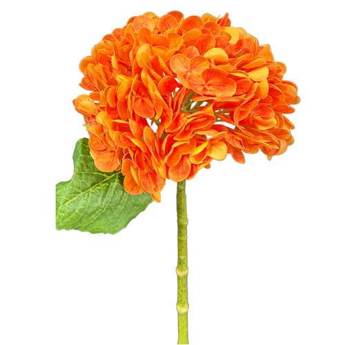 Hydrangea Orange Fresh Touch 50cml #SWF4108ORG - Each