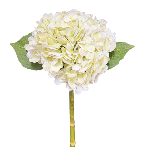 Hydrangea White Fresh Touch 50cml #SWF4108WHI - Each