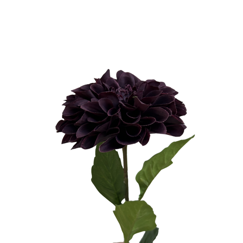 Dahlia Plum Stem 60cm - #SWFDAHLIAPL
