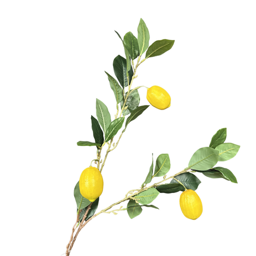 Yellow Lemon Branch Stem 65cm #SWFLEMONB - Each