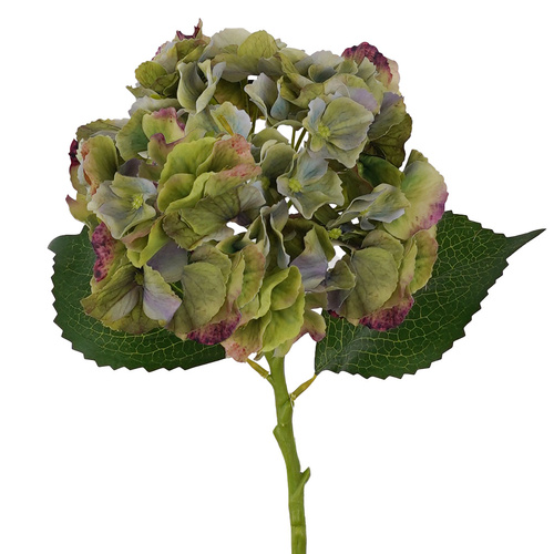 Hydrangea Purple Green Fresh Touch 49cml #SW1791PG - Each